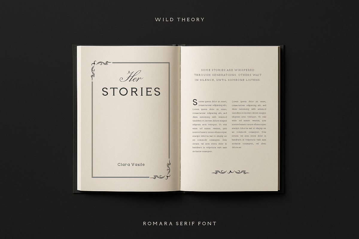 Romara | Elegant & Modern Serif Font, a Font by Wild Theory (Photo 12 of 16)