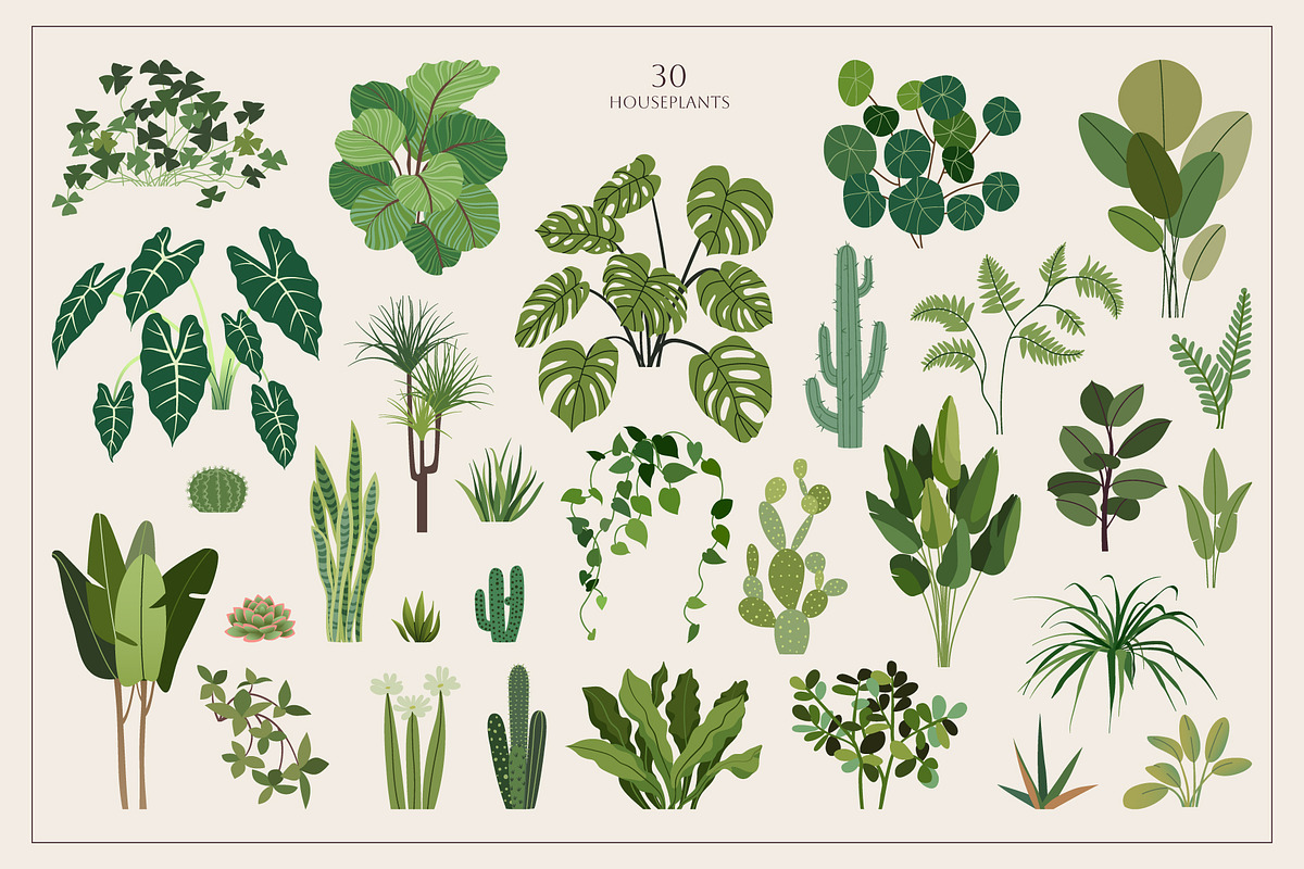 Home Plants | House Plants in Pots, a Decorative Illustration by Berentine.art (Photo 2 of 16)