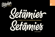 Slacker - a mellow brush script, a Script Font by Fenotype (Thumbnail 9 of 13)