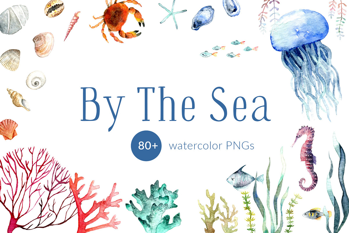 By The Sea – Watercolor Collection, an Illustration by SophieLittleEye (Photo 1 of 12)