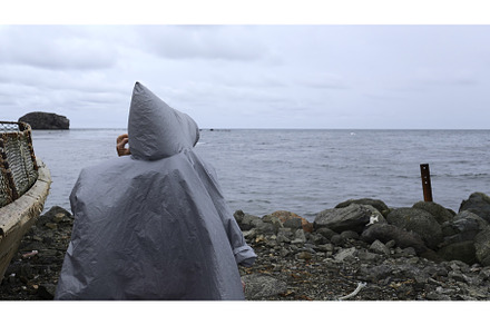 Man walks on stone coast on, a Person Photo by Media Whale Stock
