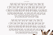 Nocashe New Display Serif Font, a Serif Font by Storytype Studio (Thumbnail 13 of 15)