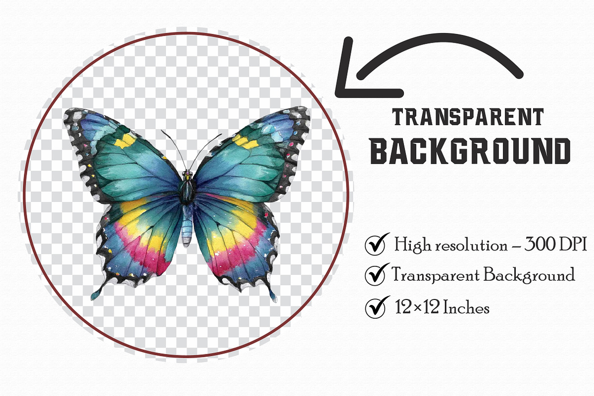 Watercolor Butterflies Clipart, an Illustration by Libby Wishes (Photo 4 of 7)