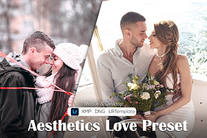 Aesthetics Love Presets, a Preset Add-On by Vatdesign