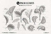 Palm Leaves Vector Line Art Set, an Illustration by MadliArt (Thumbnail 3 of 4)