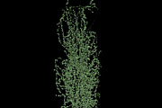 pack Nature, an Object Graphic by FlyOk (Thumbnail 3 of 9)