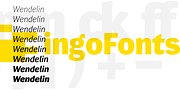 Wendelin Pro, a Sans Serif Font by ingoFonts (Thumbnail 10 of 10)