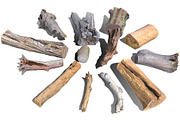 13 Tree Logs, an Environmental 3D Model by Beatheart Creative Studio (Thumbnail 2 of 37)