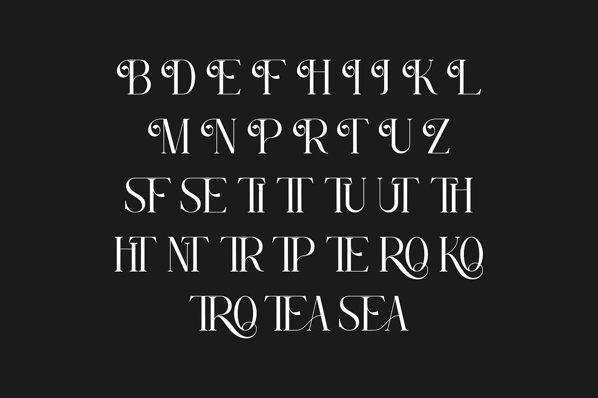 ROSEAN -Modern Ligature Serif Font, a Serif Font by AnnofaType (Photo 7 of 8)