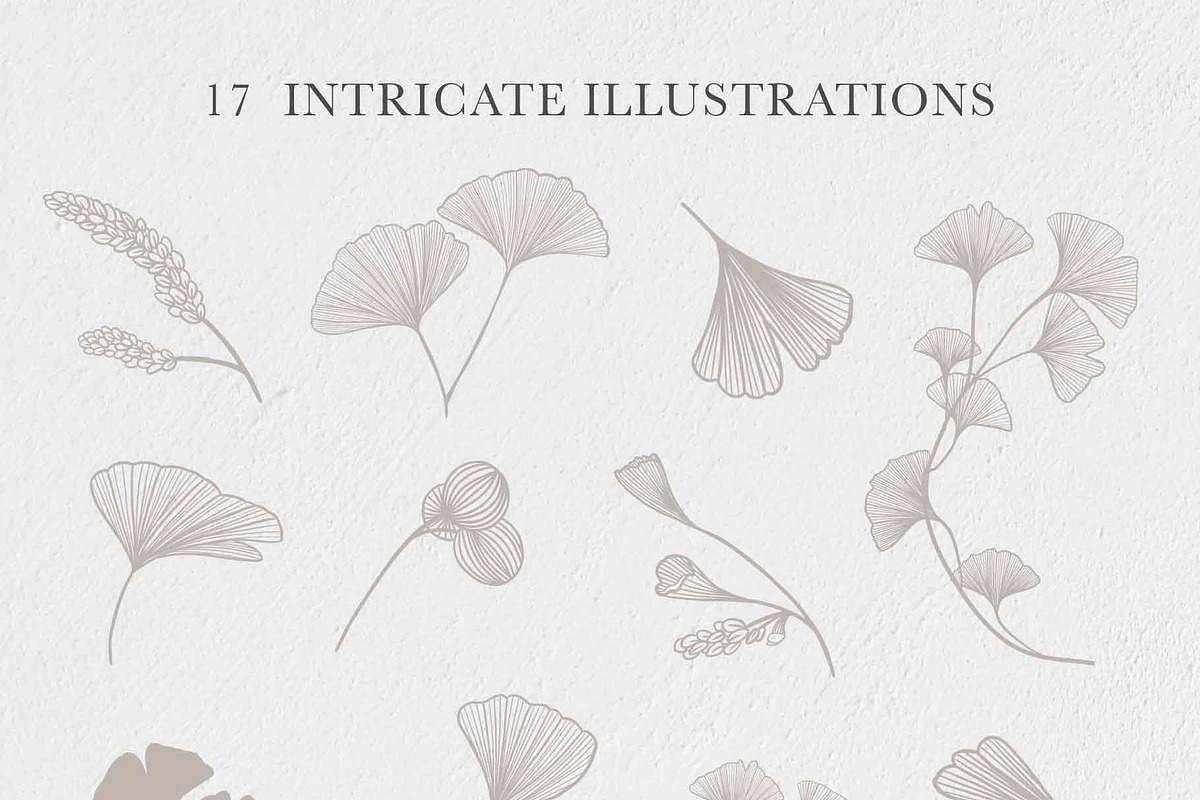Ginkgo Botanicals - Florals & Leaves, an Illustration by Momo Studio (Photo 5 of 13)