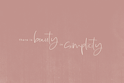 Lionness | Modern Script Font, a Script Font by KA Designs (Thumbnail 12 of 22)