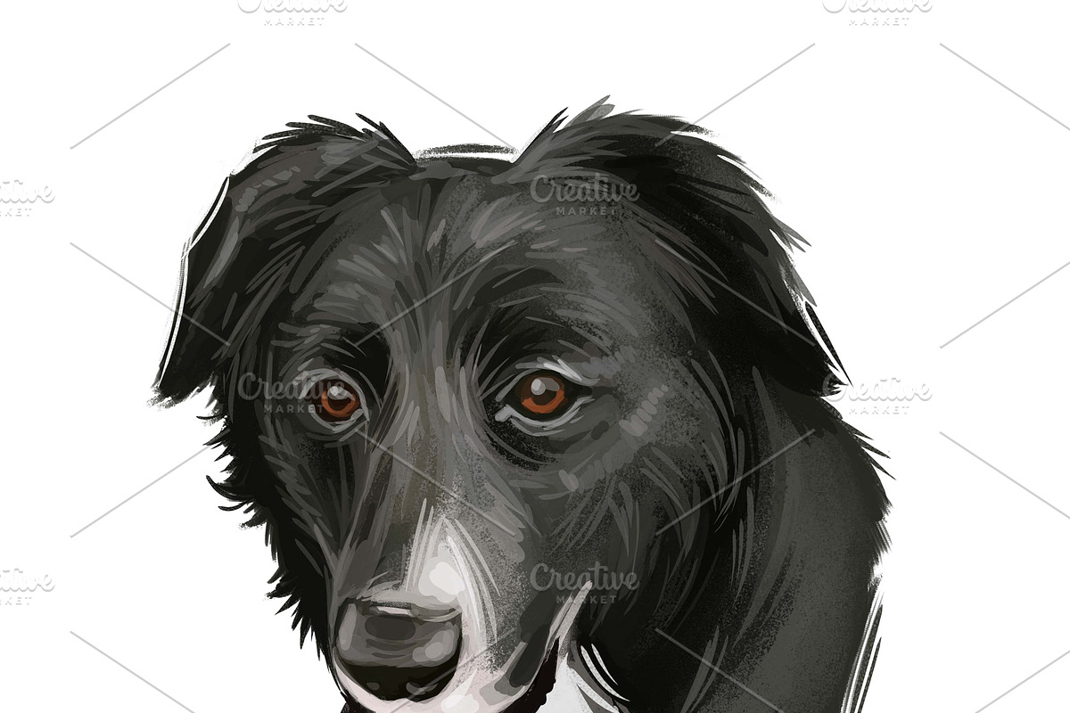 Dogs Most Popular in World,  510 Pet, an Illustration by Dneprstock (Photo 2 of 5)