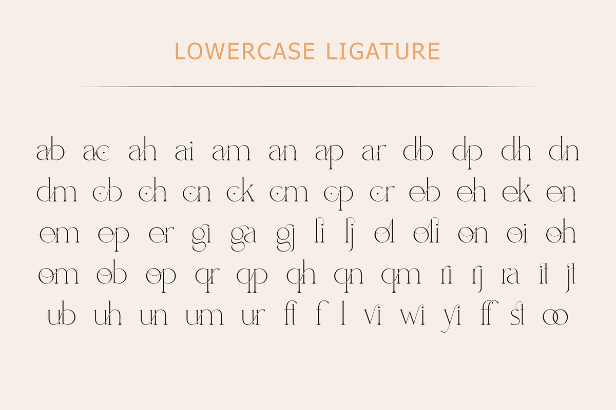 Bechilo – Modern Serif Font, a Serif Font by Yahya Type (Photo 23 of 25)