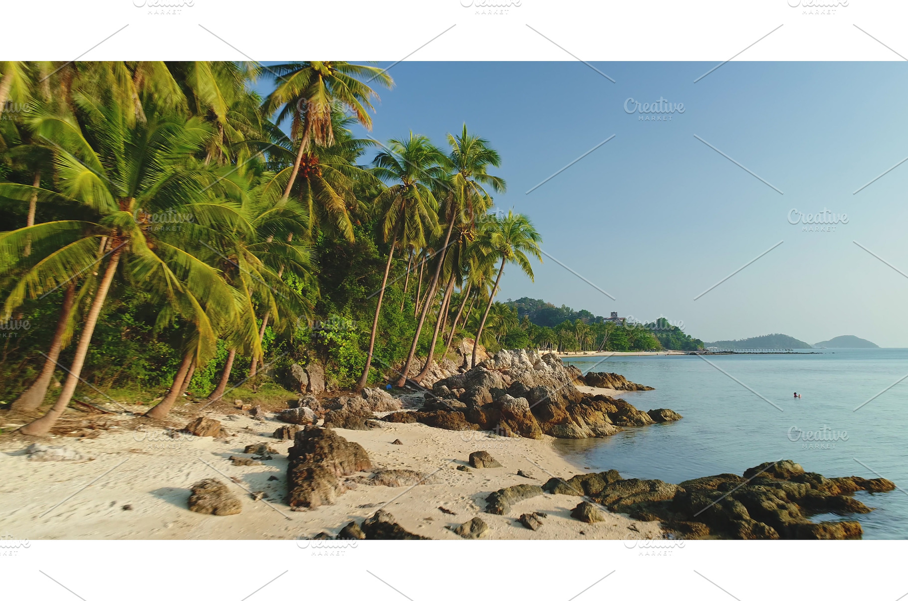 Palm trees leaning over a rocky, a Nature Photo by Goinyk
