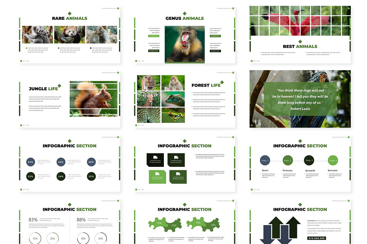 Animals - Presentation Template, a Presentation Template by AQR Studio