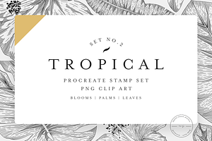 20 Tropical Stamps for Procreate V2