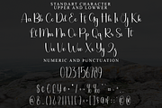 Vintage, a Handwritten Font by FreshTypeINK (Thumbnail 4 of 8)