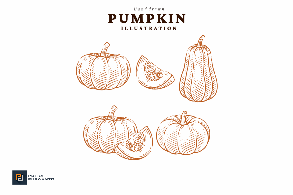 Hand Drawn Pumpkin Illustration Set, a Food Illustration by putra_purwanto (Photo 2 of 3)