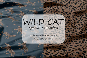 WILD CAT Special Collection