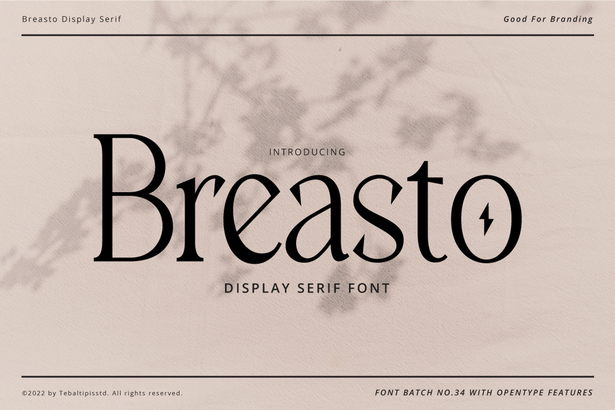 Breasto - Display Serif, a Sans Serif Font by tebaltipislab (Photo 1 of 18)