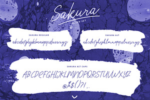 Sakura Font Set