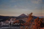 Beauty Signature - Handwritten Font, a Script Font by Dm Studio (Thumbnail 8 of 10)