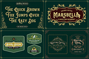 The Premium Creation Font Bundle, a Serif Font by Megatype (Thumbnail 13 of 56)