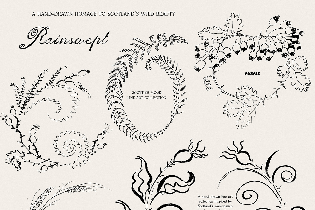 Rainswept Autumn Line Art Collection, an Object Illustration by Purple (Photo 15 of 15)