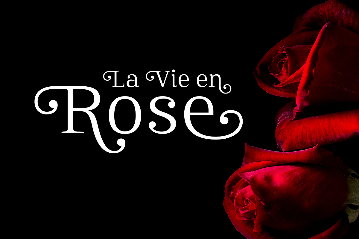 Mireille Regular, a Serif Font by TypeThis!Studio (Photo 4 of 4)