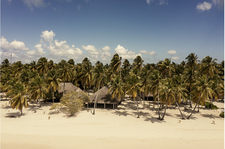 Tropical Caribbean beach, Dominican