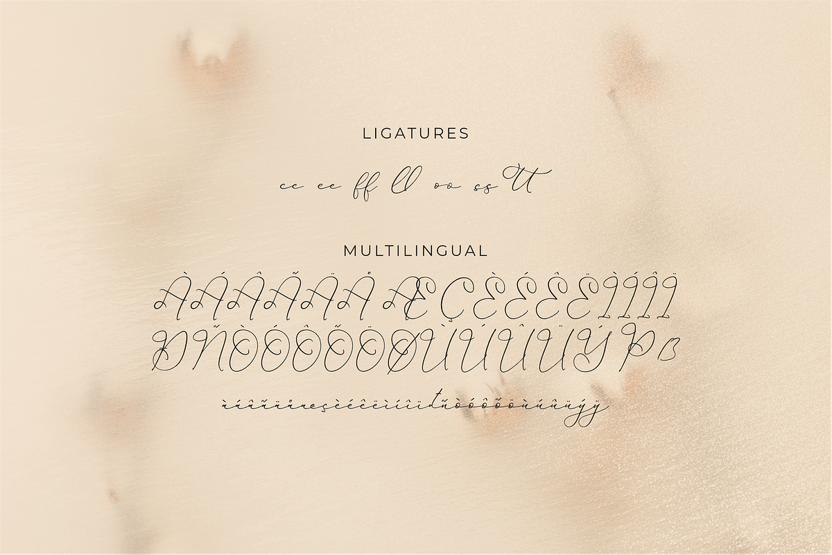 Hardyela Sandert Ballpoint Signature, a Script Font by Storytype Studio (Photo 14 of 15)