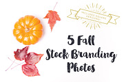 Fall Stock Brand Photos, a Books & Magazine Mockup by Cassandra Lea (Thumbnail 1 of 5)