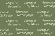 SFC Country Fairway, a Script Font by Skilline Supply Co. (Thumbnail 8 of 11)