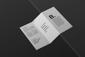 DL Trifold Brochure Mockup Kit