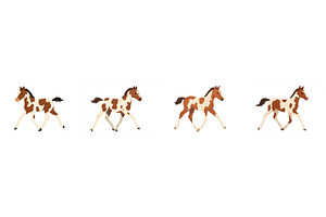 Colorful cartoon horses trotting, an Animal Photo by ZinetroN