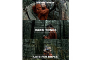 Cinematic BMPCC 4K and 6K LUTs, a Preset Add-On by Creative House (Thumbnail 1 of 4)