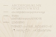 Callidora New Modern Serif, a Serif Font by Storytype Studio (Thumbnail 13 of 15)