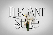 VERNICE LEMANS, a Serif Font by NYDESIGN (Thumbnail 10 of 10)