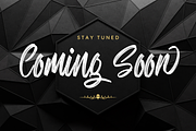 Rampage | Modern Brush Font, a Handwritten Font by Creaditive Design (Thumbnail 5 of 8)
