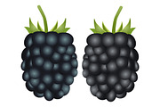 Fruits and vegetables (vector), an Object Graphic by pashigorov (Thumbnail 7 of 8)