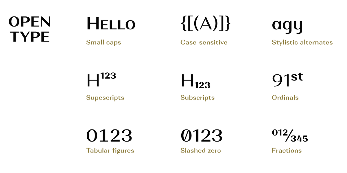 Alethia Next, a Sans Serif Font by Pepper Type (Photo 9 of 14)