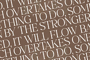 Begifta New Modern Serif Font, a Serif Font by Letterena Studios (Thumbnail 8 of 15)