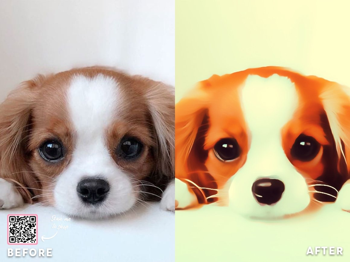 Cartoon Painting Effect Actions, an Action Add-On by JasGraphicTools (Photo 18 of 19)