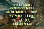 Radiance Beverage Modern Serif, a Serif Font by timelesstype.co (Thumbnail 19 of 20)