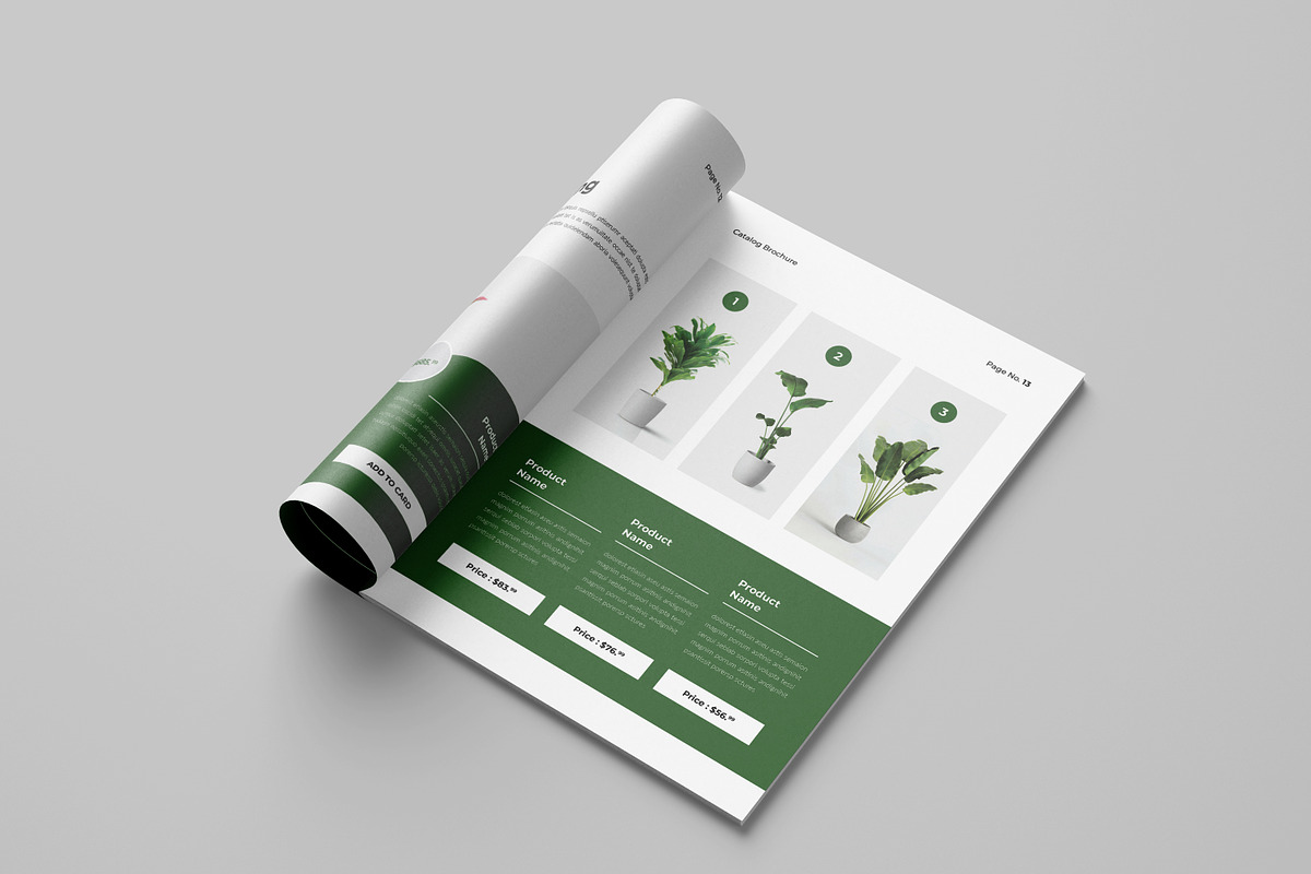 Botanic | Catalog Brochure Template, a Brochure Template by Spark_Creative (Photo 8 of 12)