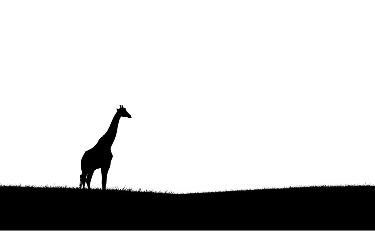 Giraffe Safari Silhouette Vector Bun, an Illustration by Designer_Momina (Photo 11 of 51)