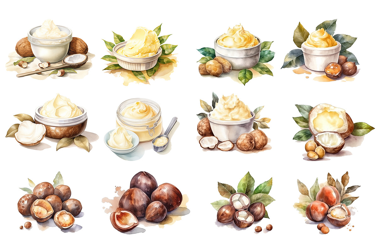 Watercolor Shea nuts plant, berry, an Object Graphic by KomtsyanTatyanaArt (Photo 3 of 3)