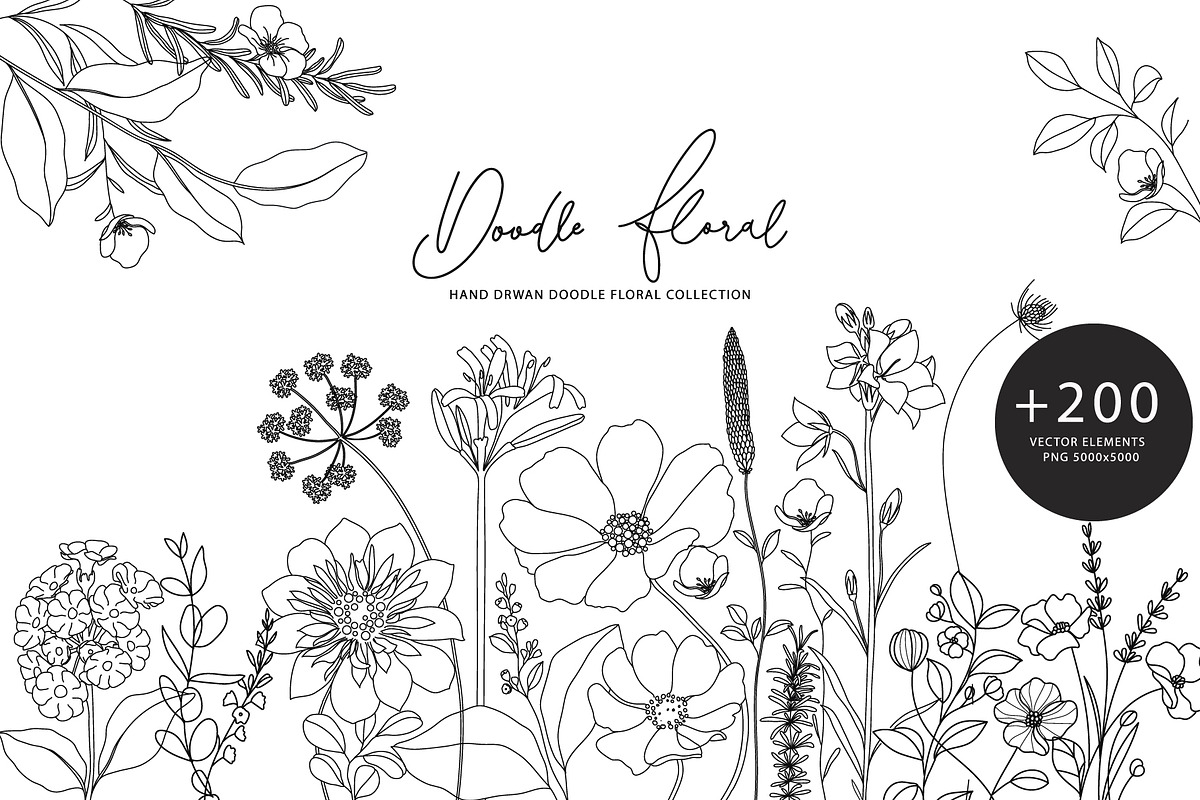 Minimal line flower botanical doodle, a Decorative Illustration by MooBeer (Photo 1 of 8)