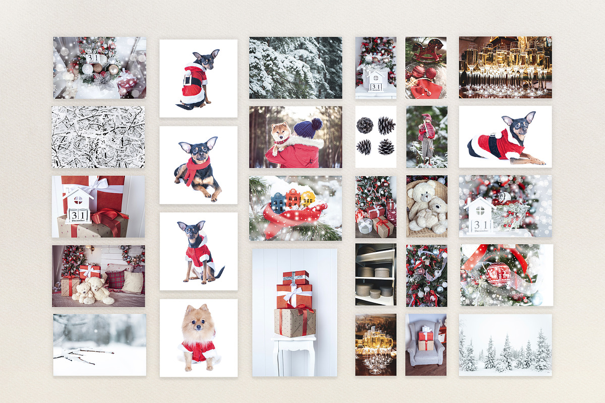 100JPG CHRISTMAS & WINTER COLLECTION, a Holiday Photo by WildStrawberry Magic (Photo 7 of 9)