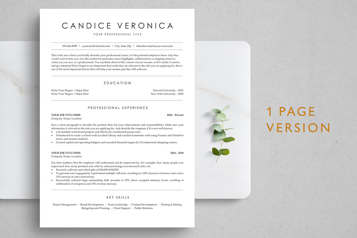 ATS Resume Template - CANDICE, a Resume Template by TheStandOutResume (Photo 2 of 7)